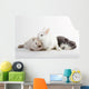 3 Rabbit baby Wall Decal