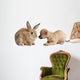 Chihuahua puppy playing with rabbit Wall Decal