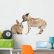 Chihuahua interacting with a rabbit in front of white background Wall Decal