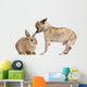 Chihuahua interacting with a rabbit in front of white background Wall Decal