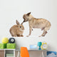 Chihuahua interacting with a rabbit in front of white background Wall Decal