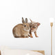 Chihuahua Interacting with Rabbit Wall Decal