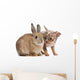 Chihuahua interacting with a rabbit Wall Decal