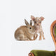 Chihuahua with Rabbit Front Wall Decal