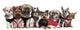 Portrait of Dogs Dressed up Wall Decal