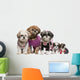 Fashionable Shih Tzus Wall Decal