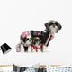 Shih Tzus Dressed up Wall Decal