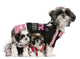 Shih Tzus Dressed up Wall Decal