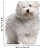 Coton Tulear Puppy 4 Wall Decal