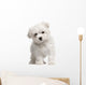 Maltese Puppy 2 Months Old Standing Wall Decal
