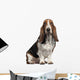 Bassett Hound, 6 years old, sitting Wall Decal