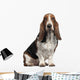 Bassett Hound, 6 years old, sitting Wall Decal