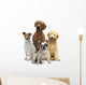 4 Hunde Wall Decal