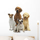 4 Hunde Wall Decal