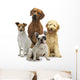 4 Hunde Wall Decal