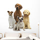 4 Hunde Wall Decal