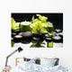 Oriental Spa With Orchid Candle and Pebbles Wall Mural