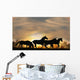 Horses Sunset