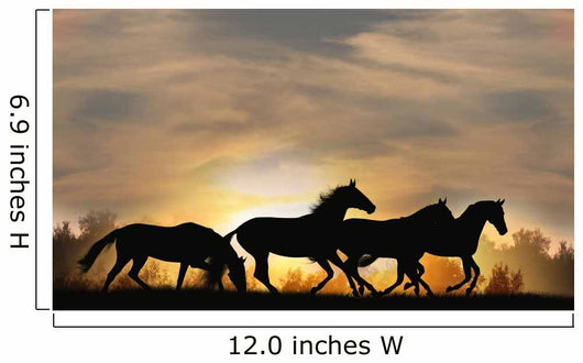 Horses Sunset