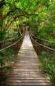 Bridge to Jungle Khao