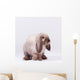 Wall Mural