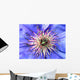blaue clematis Wall Mural