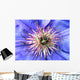 blaue clematis Wall Mural