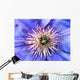 blaue clematis Wall Mural