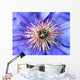 blaue clematis Wall Mural