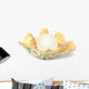 shell with pearl Wall Decal