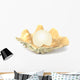 shell with pearl Wall Decal
