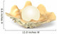 shell with pearl Wall Decal