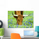 Grazing Amongst the Bluebonnets Wall Mural