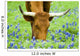 Grazing Amongst the Bluebonnets Wall Mural