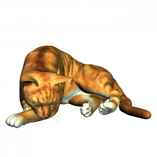 Sleeping Cat Wall Mural