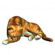 Sleeping Cat Wall Mural