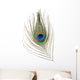Peacock Feather Wall Decal