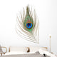Peacock Feather Wall Decal