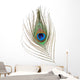 Peacock Feather Wall Decal