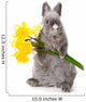 Bunny With Yellow Flowers Wall Decal