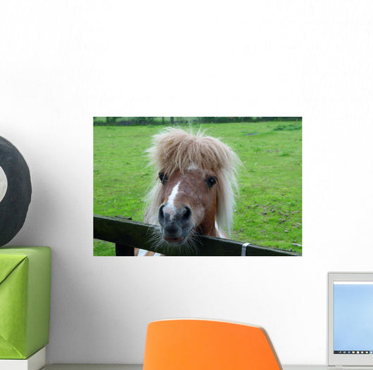 Pony Ii Wall Mural