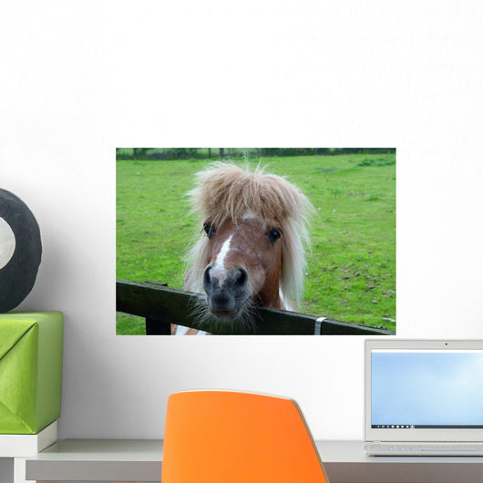 Pony Ii Wall Mural