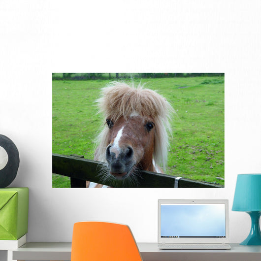 Pony Ii Wall Mural