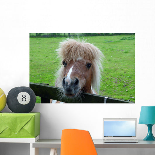 Pony Ii Wall Mural