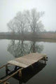 Planked Footway Wall Decal