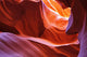 Scenic Canyon Antelope Wall Mural