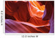 Scenic Canyon Antelope Wall Mural