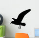 Seagull