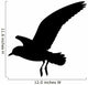 Seagull
