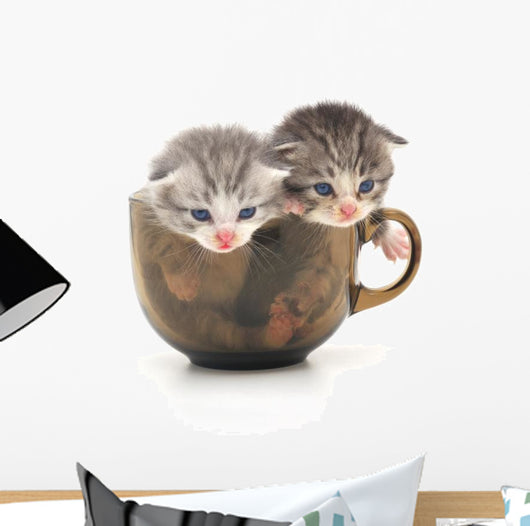 Teacup Kittens Wall Decal
